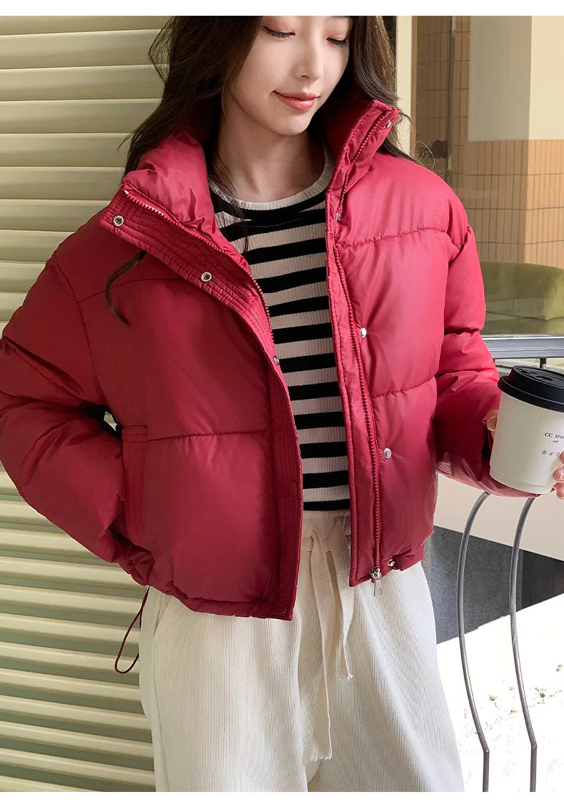 Parkas Warm Stand Collar Cold Puffer Jacket