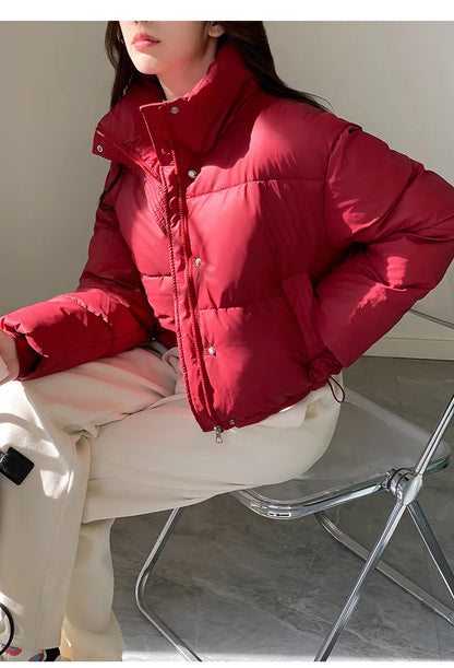 Parkas Warm Stand Collar Cold Puffer Jacket