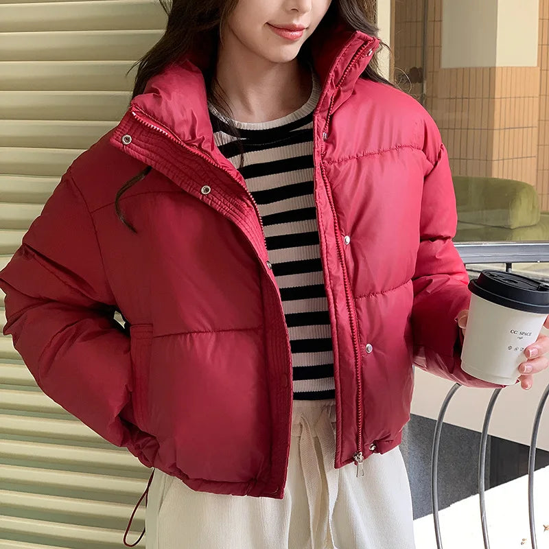 Parkas Warm Stand Collar Cold Puffer Jacket